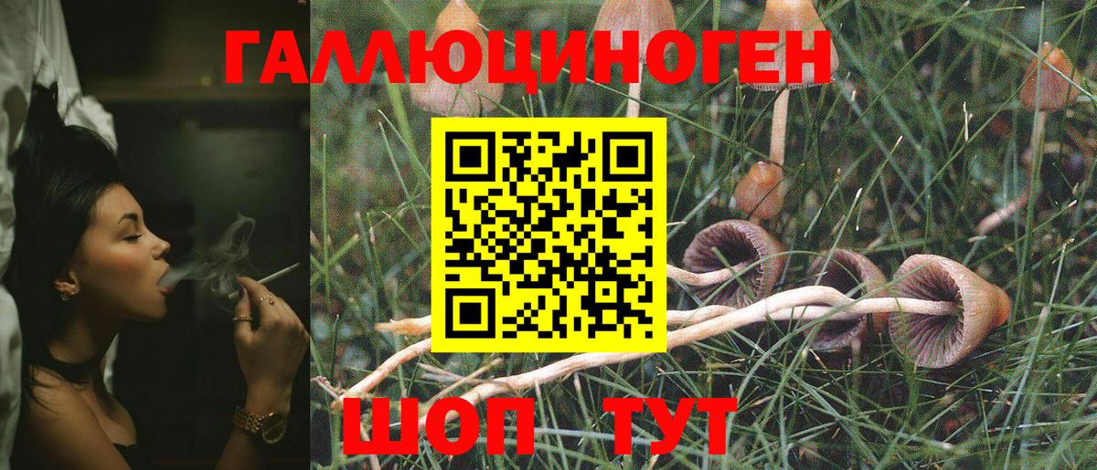 Псилоцибиновые грибы прущие грибы Тула